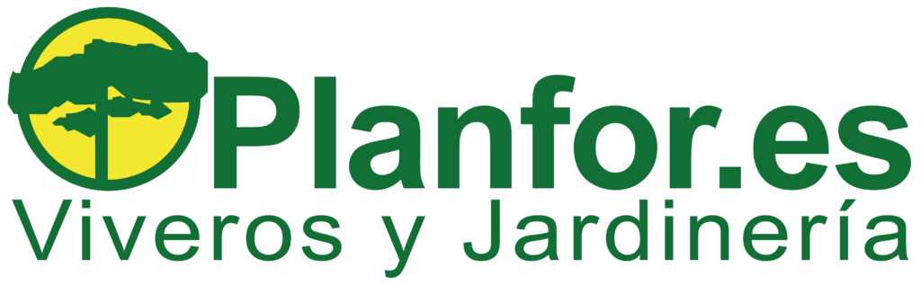 Logo Planfor